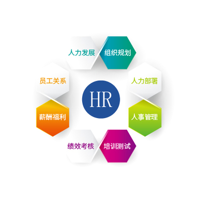 云HR 现代企业人力资源信息咨询的数字化新篇章